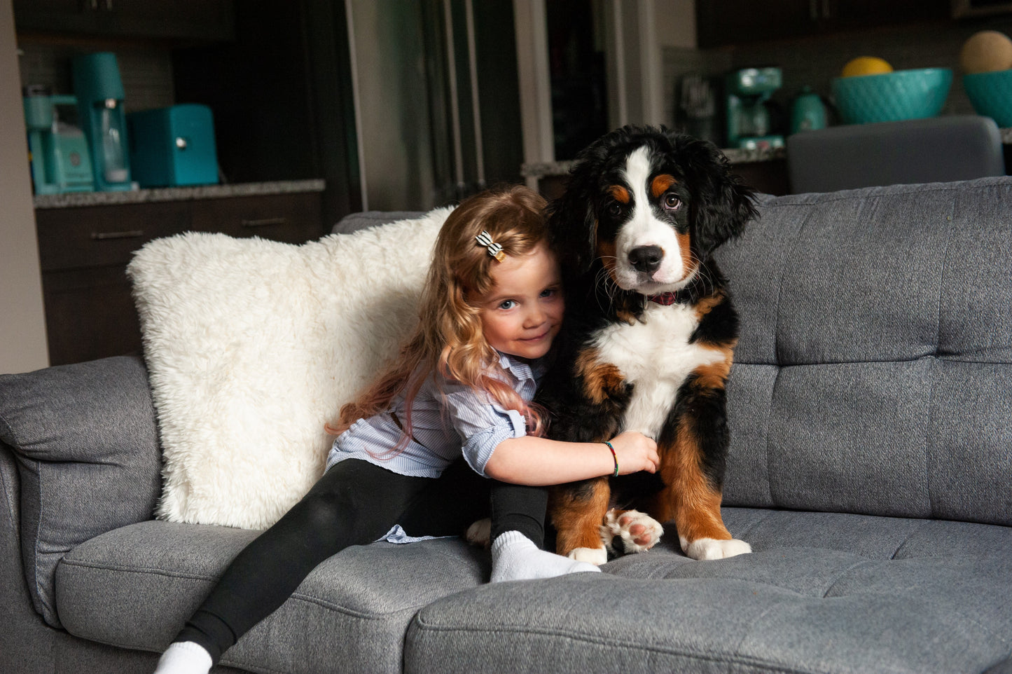 ACANA Large Breed Dry Puppy Food Recipe