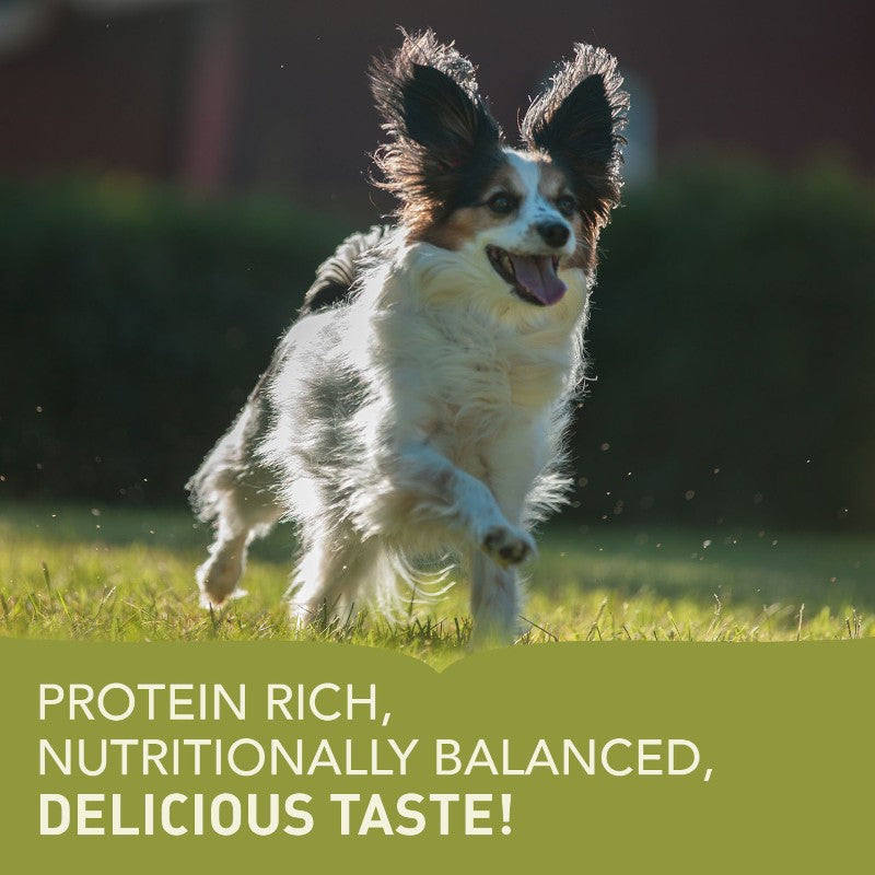 Acana Small Breed Adult Dry Dog Food