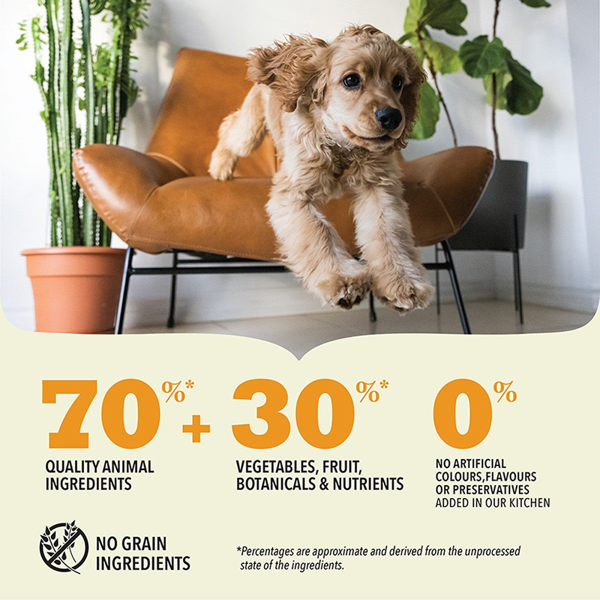 ACANA Highest Protein Wild Prairie Dog Food Recipe