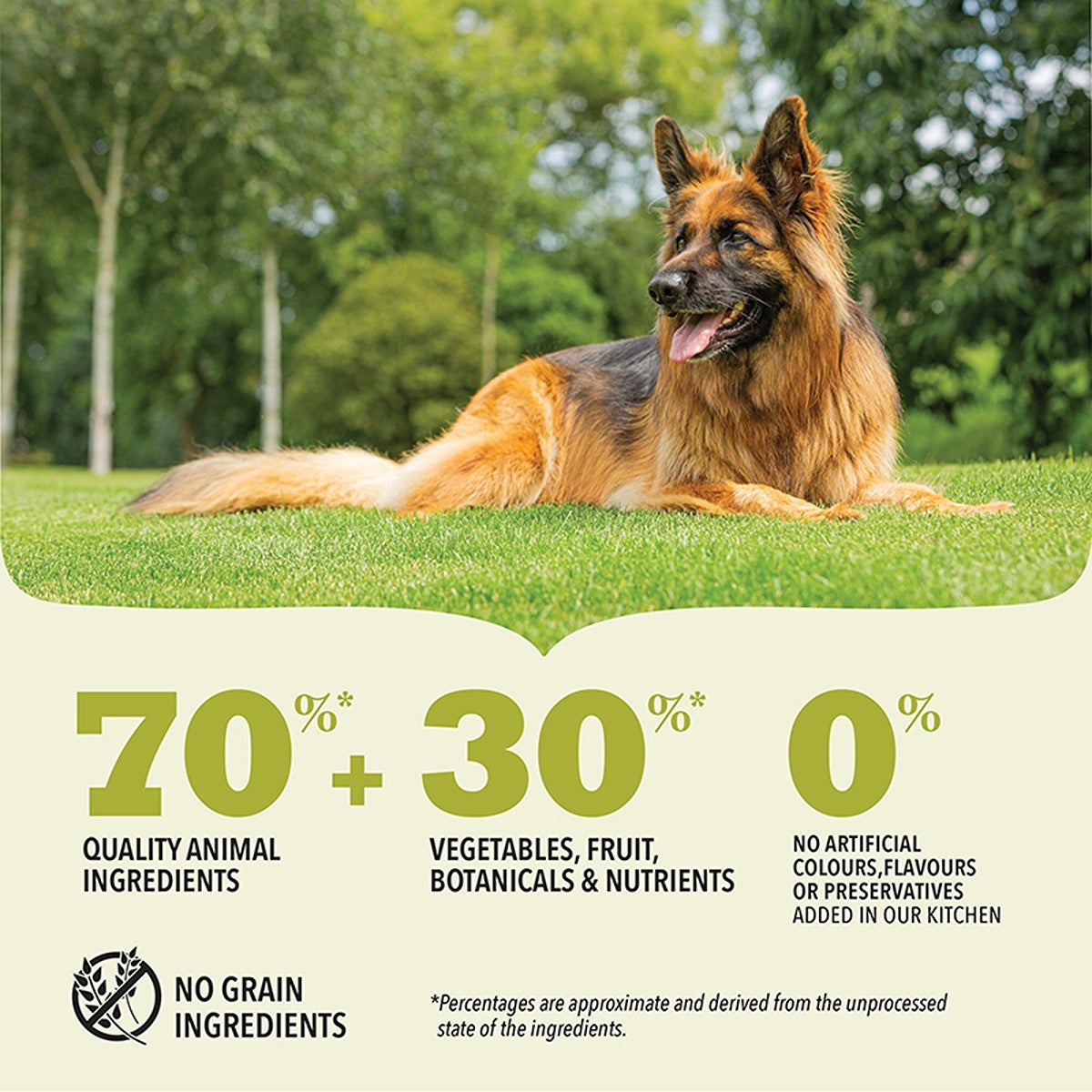 ACANA Highest Protein Grasslands Dry Dog Food