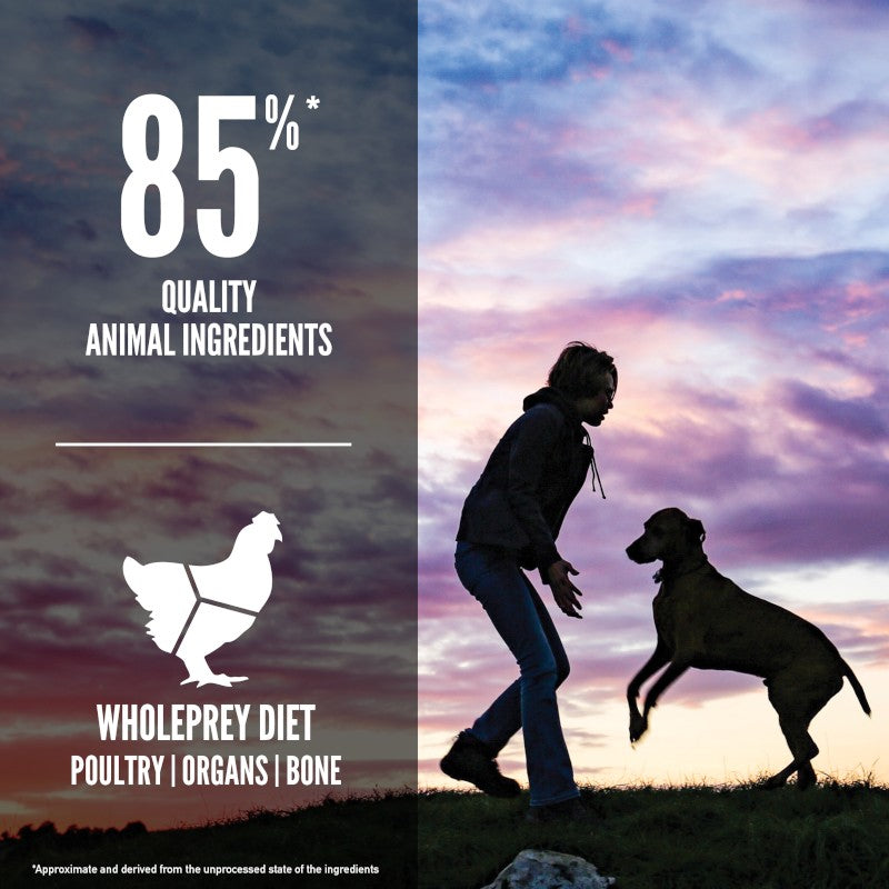Orijen Large Breed Puppy Dry Dog Food