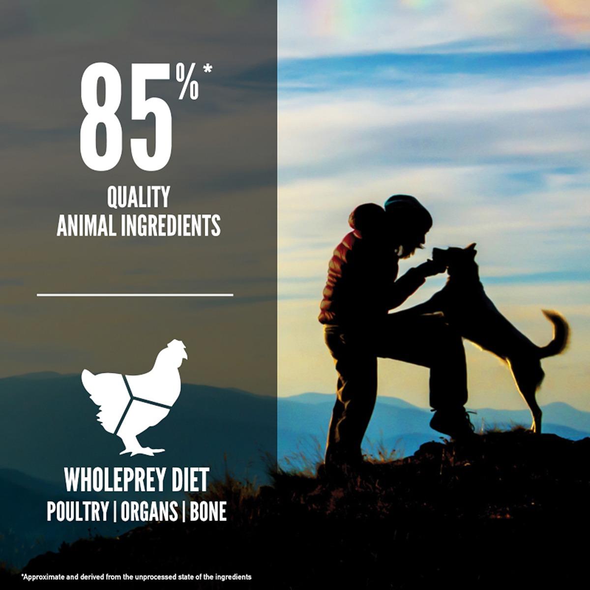 ORIJEN Original Dry Dog Food