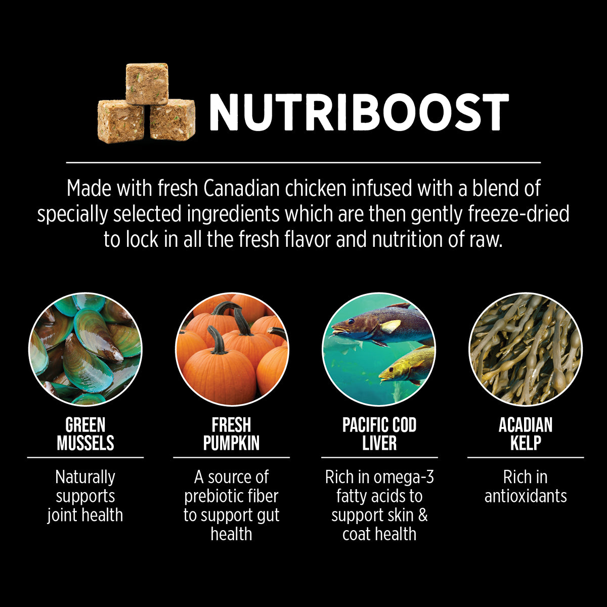 Nutrience Subzero Grain Free Fraser Valley Dry Dog Food