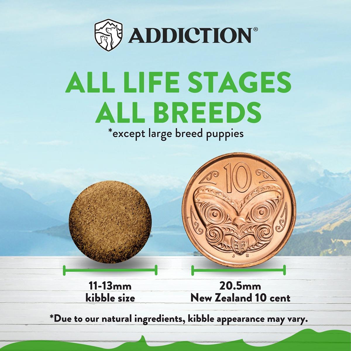 Addiction Le Lamb Digestive Health Dry Dog Food