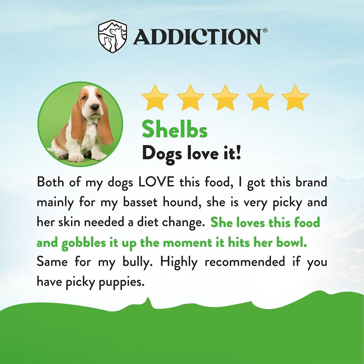 Addiction Le Lamb Digestive Health Dry Dog Food