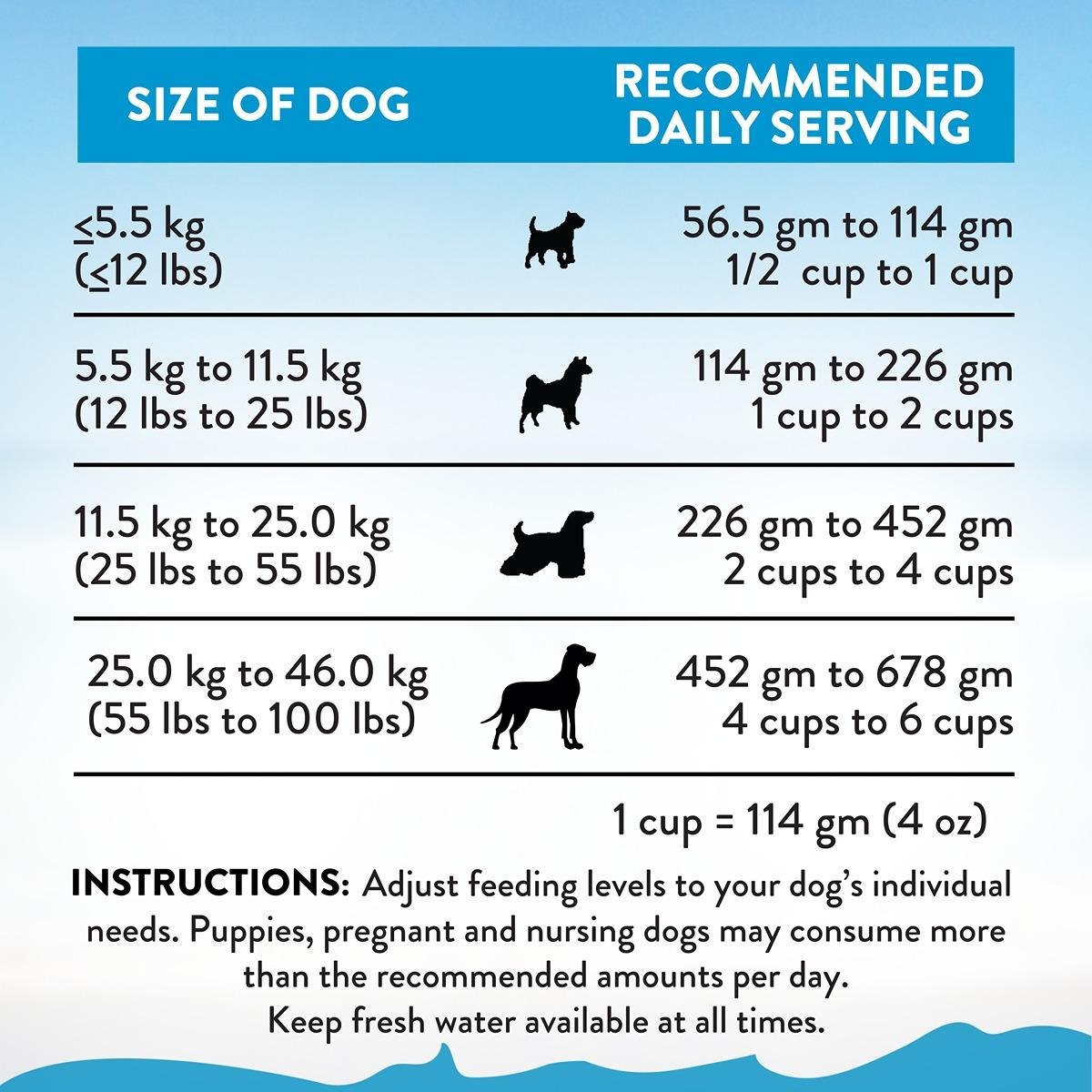 Addiction Salmon Bleu Skin & Coat Dry Dog Food