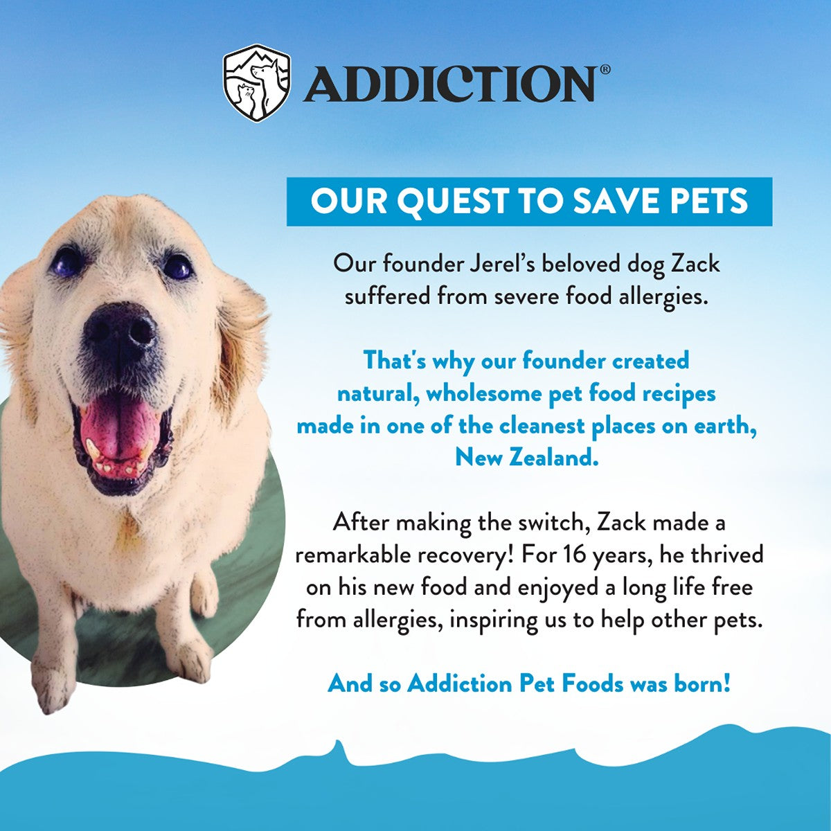 Addiction Salmon Bleu Grain-Free Skin & Coat Dry Dog Food