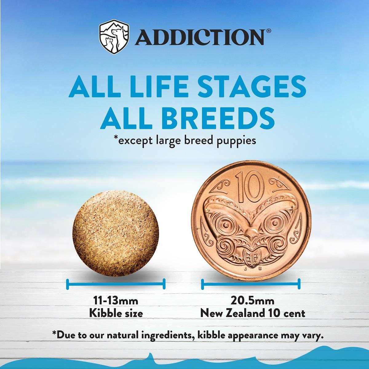 Addiction Salmon Bleu Skin & Coat Dry Dog Food
