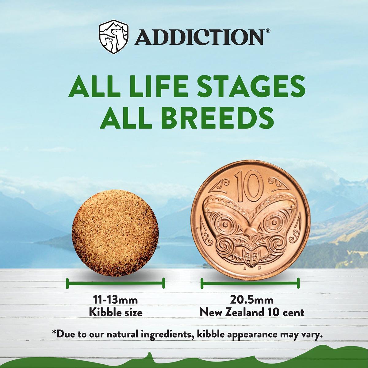 Addiction Zen Vegetarian Vegan Dry Dog Food