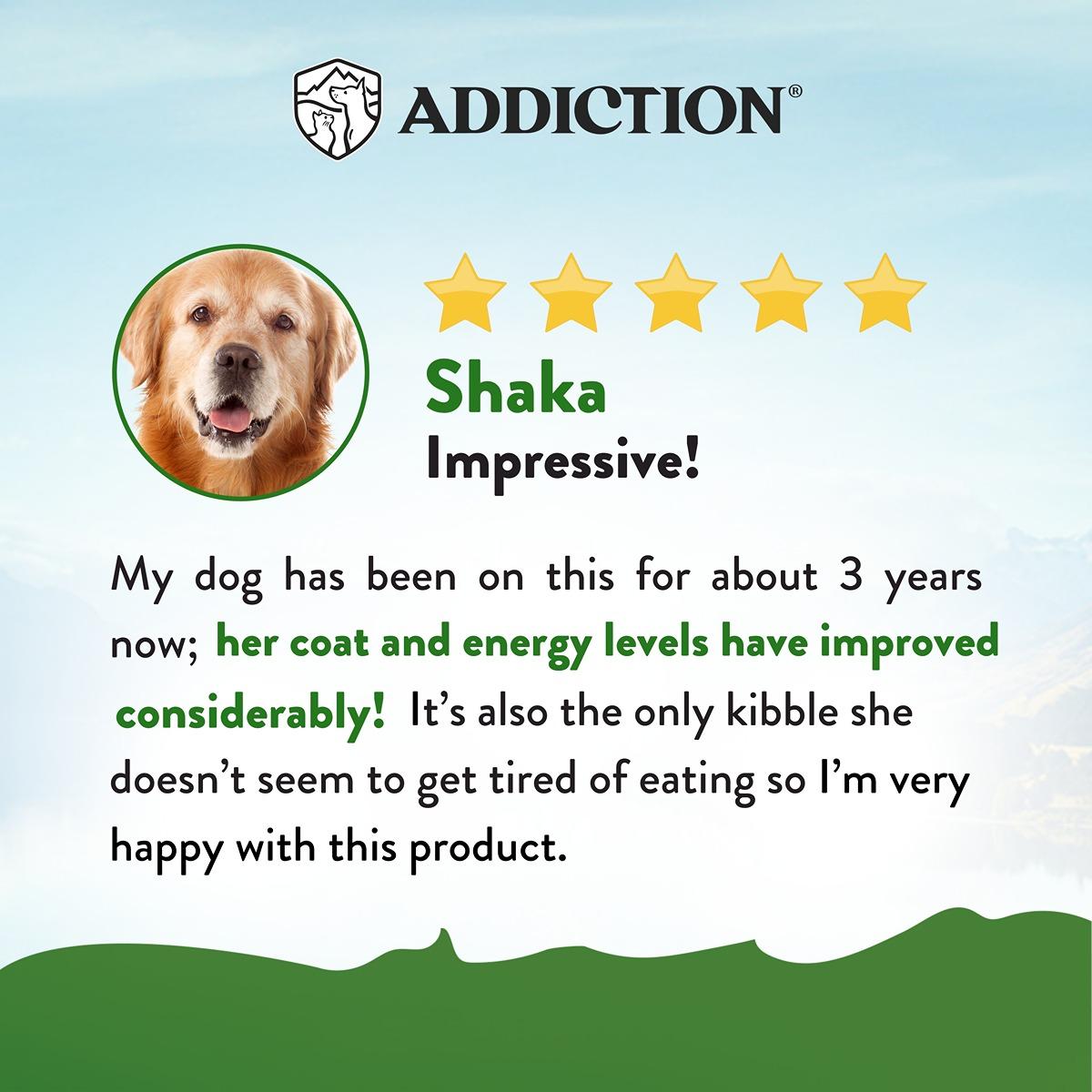 Addiction Zen Vegetarian Vegan Dry Dog Food