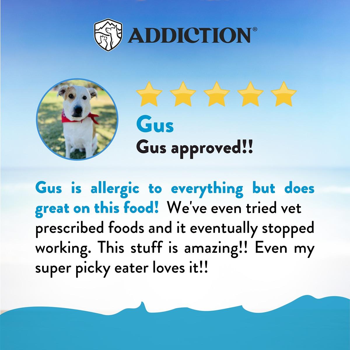 Addiction Salmon Bleu Skin & Coat Dry Dog Food