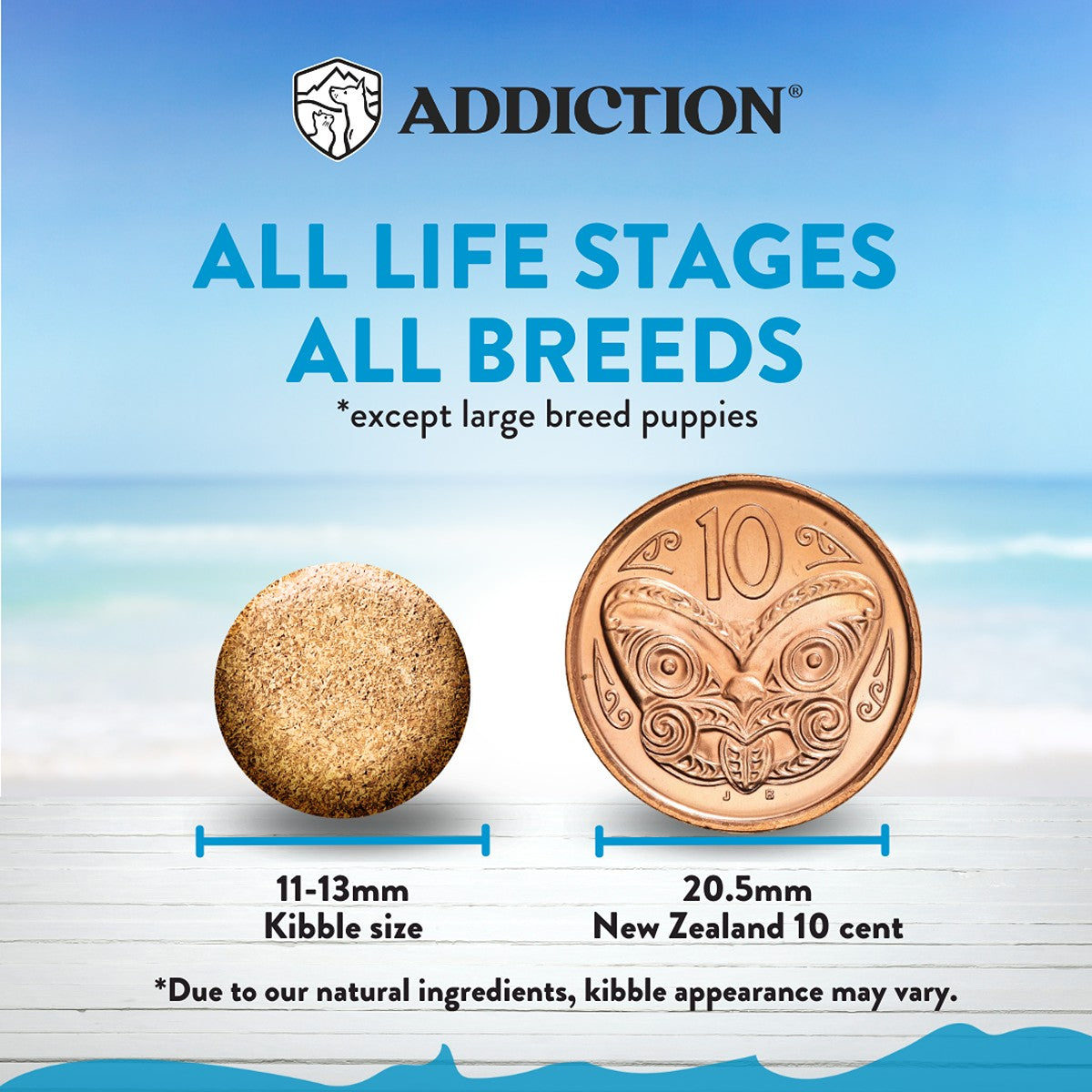 Addiction Salmon Bleu Grain-Free Skin & Coat Dry Dog Food