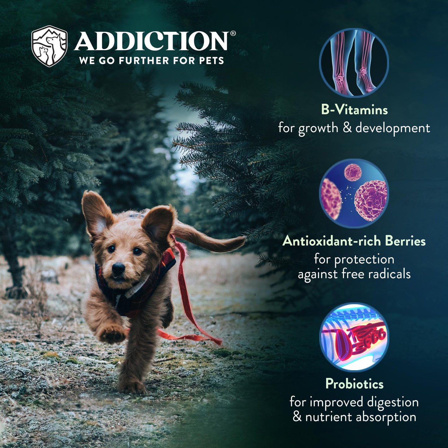 Addiction Salmon Bleu Skin & Coat Dry Puppy Food