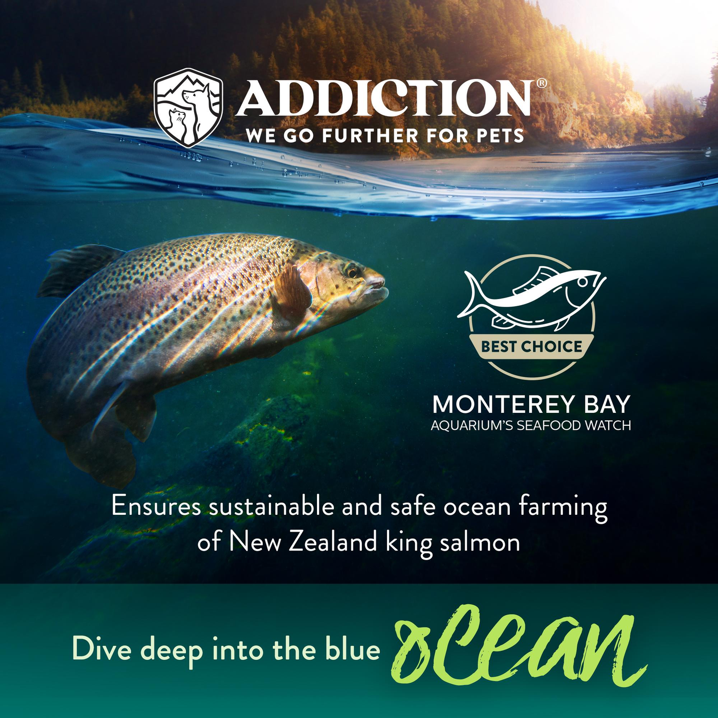 Addiction Salmon Bleu Skin & Coat Dry Puppy Food