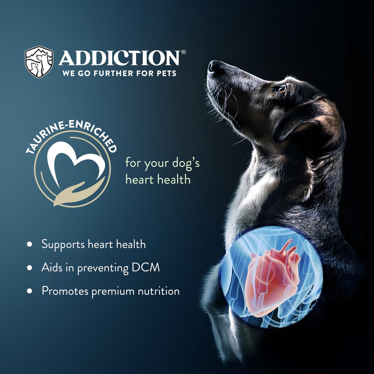 Addiction Salmon Bleu Skin & Coat Dry Puppy Food