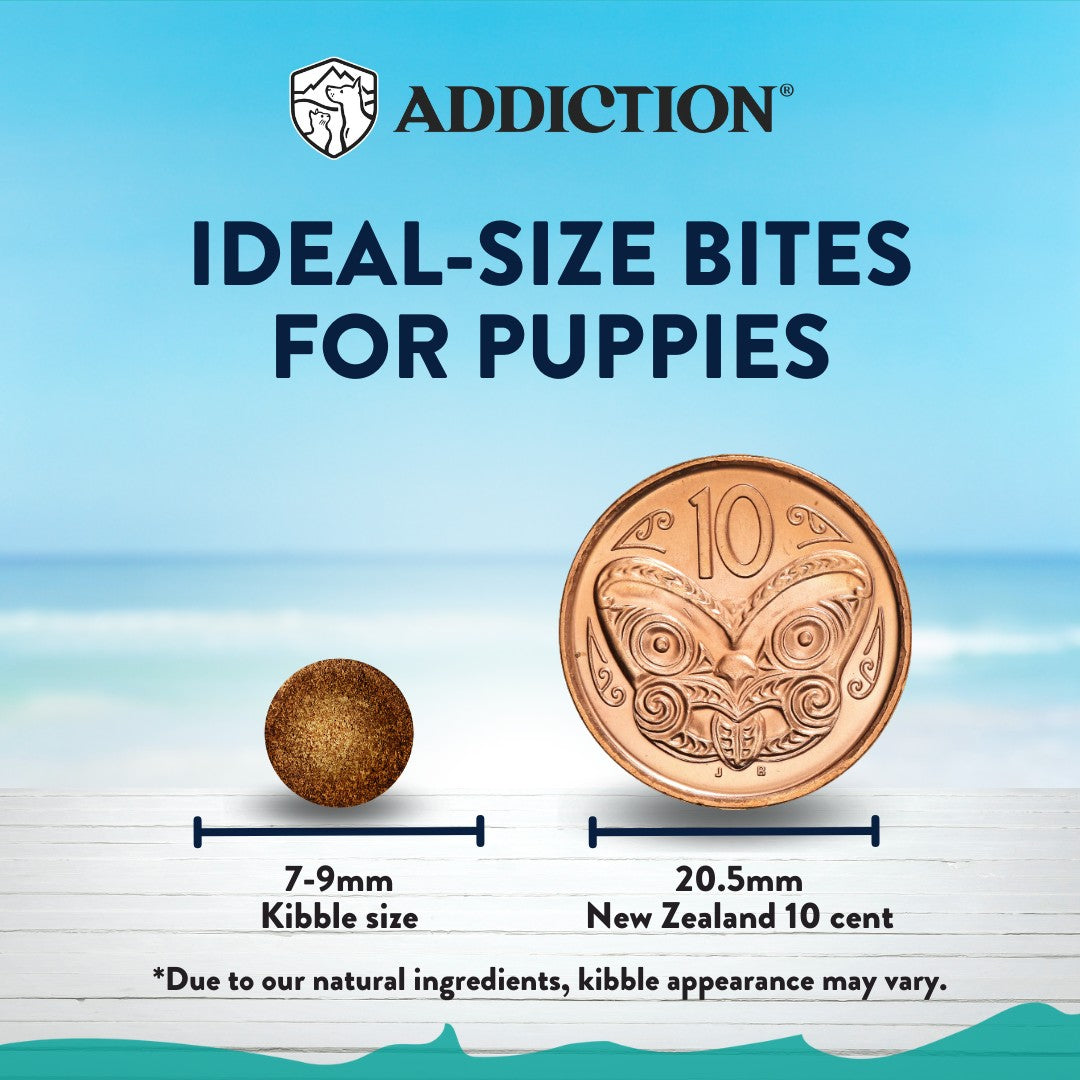 Addiction Salmon Bleu Skin & Coat Dry Puppy Food