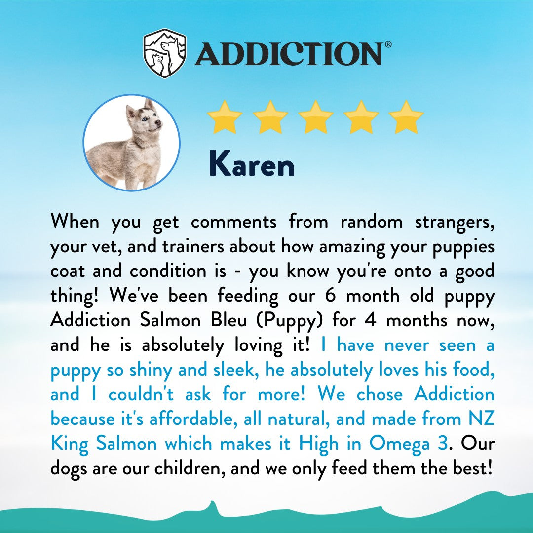 Addiction Salmon Bleu Skin & Coat Dry Puppy Food