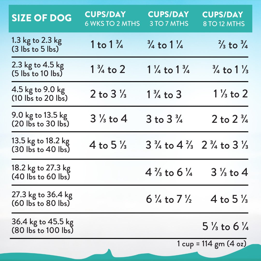 Addiction Salmon Bleu Skin & Coat Dry Puppy Food