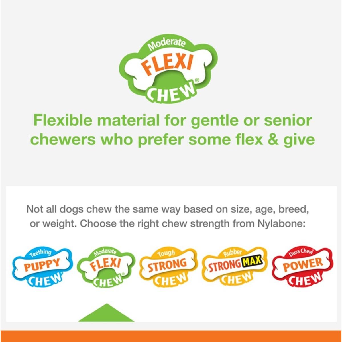 Nylabone Flexichew Chicken Dog Toy