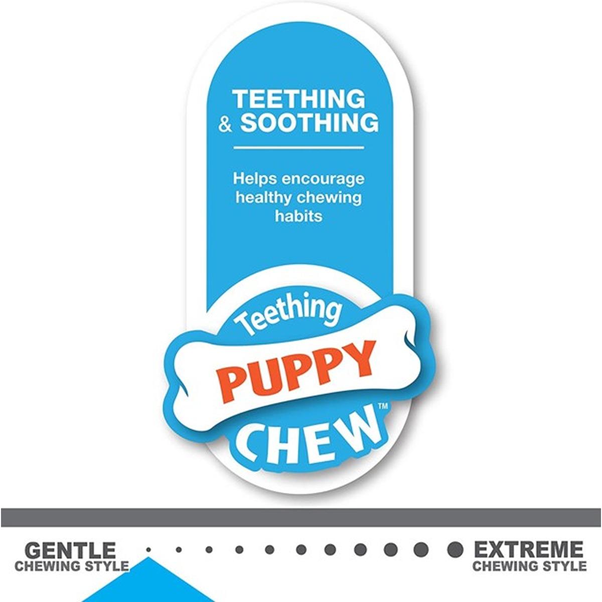 Nylabone Puppy Teething Keys