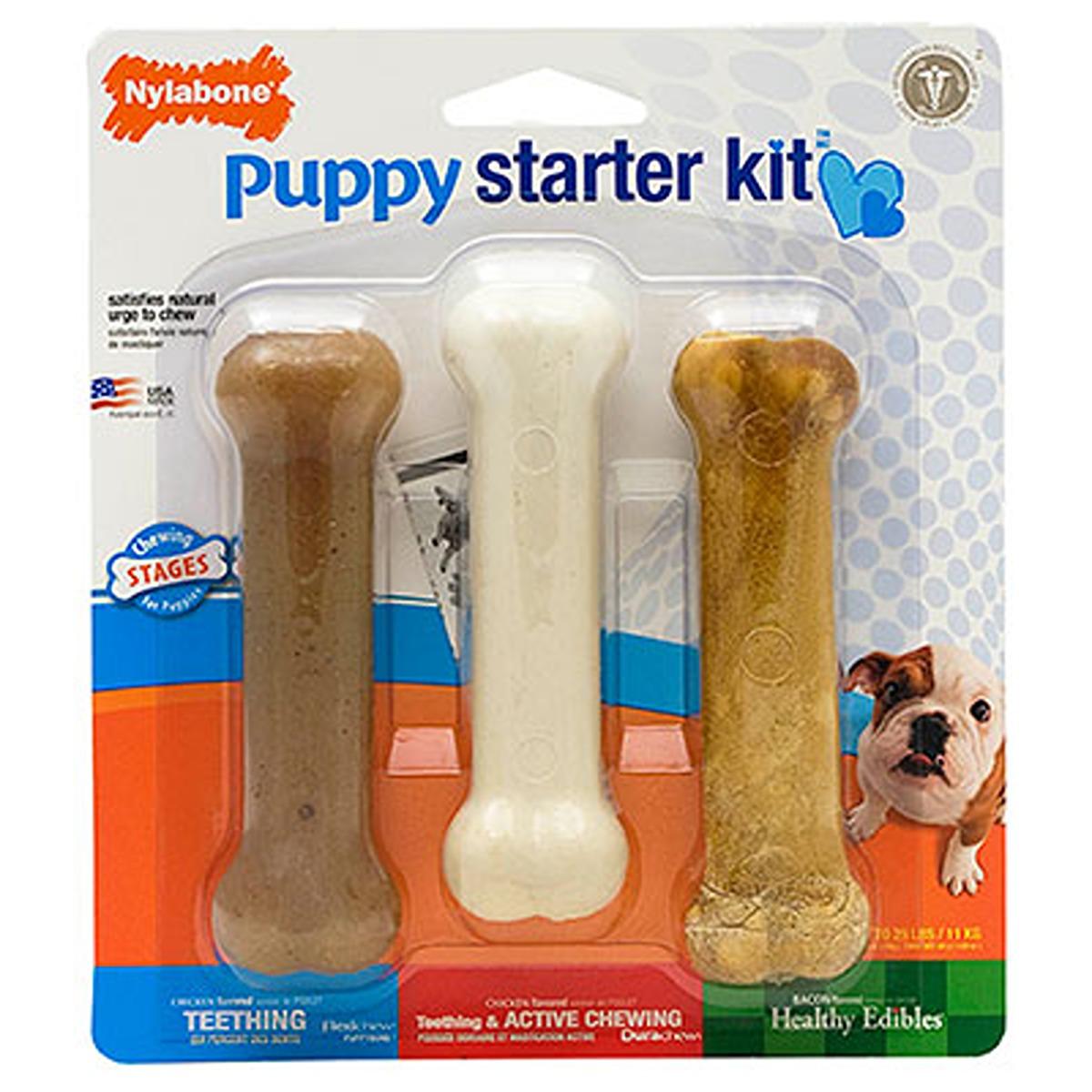 Nylabone Puppy Starter Kit