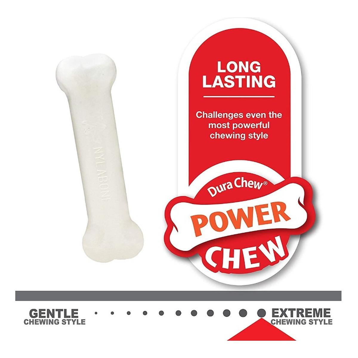 Nylabone Puppy Starter Kit