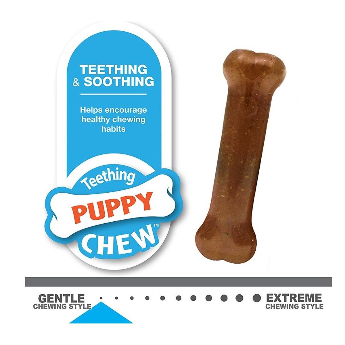 Nylabone Puppy Starter Kit