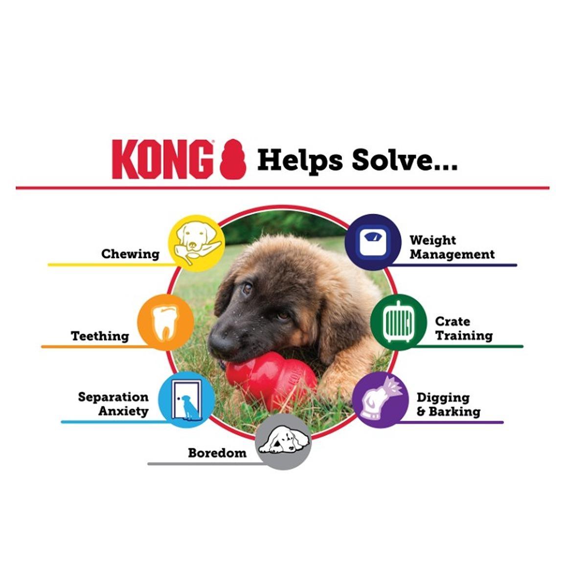 Kong Puppy Dog Toy