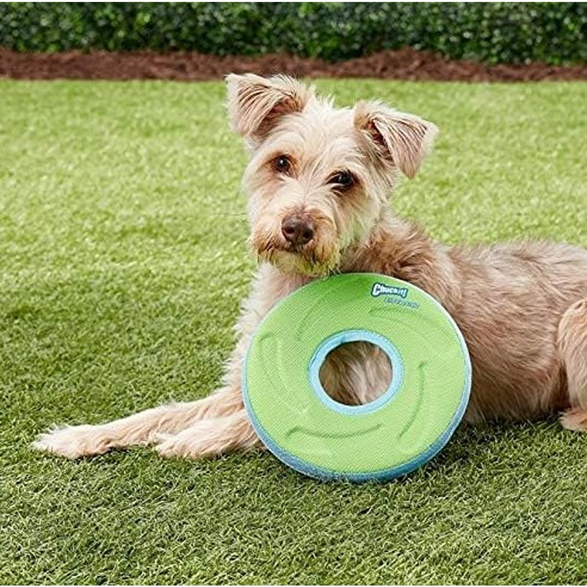 Chuckit ZipFlight Disc Dog Toy - Assorted Colours