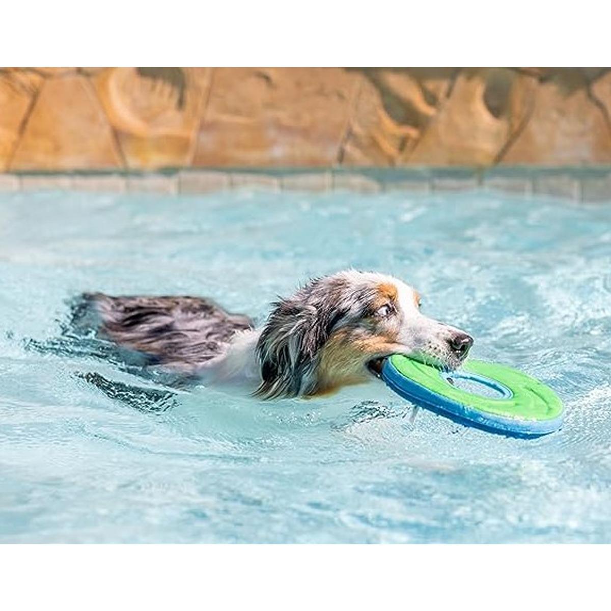 Chuckit ZipFlight Disc Dog Toy - Assorted Colours