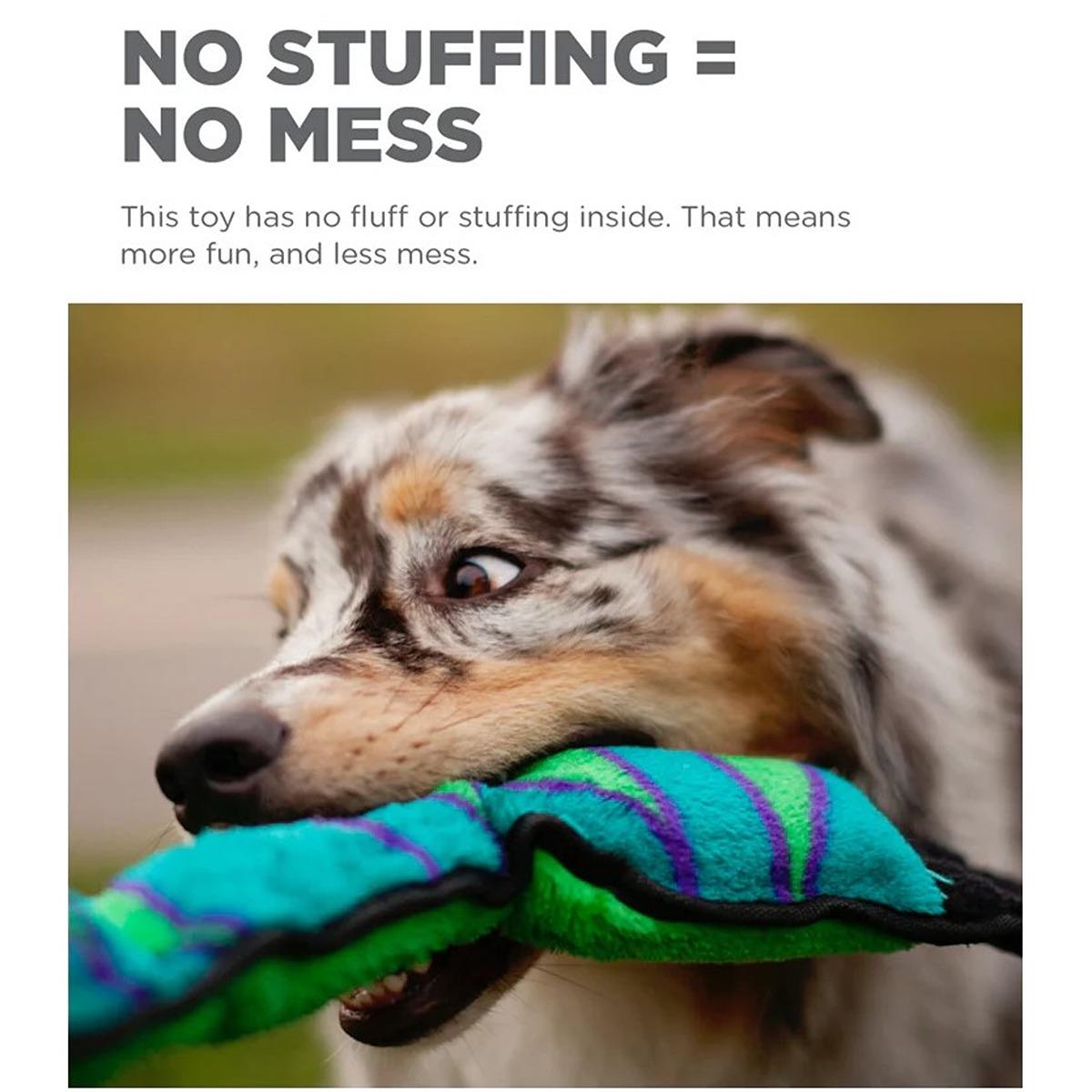 Outward Hound Invincible Snake Dog Toy