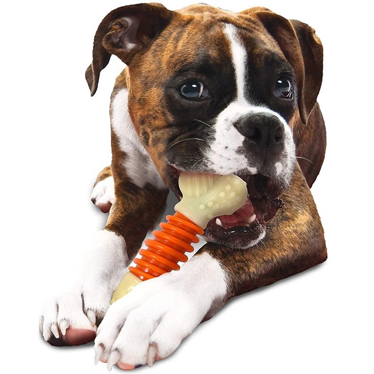 Nylabone Pro Action Bone Dog Toy