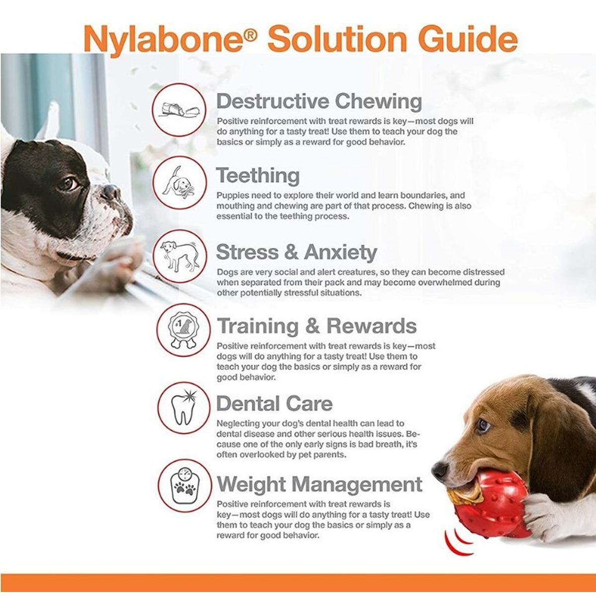 Nylabone Pro Action Bone Dog Toy