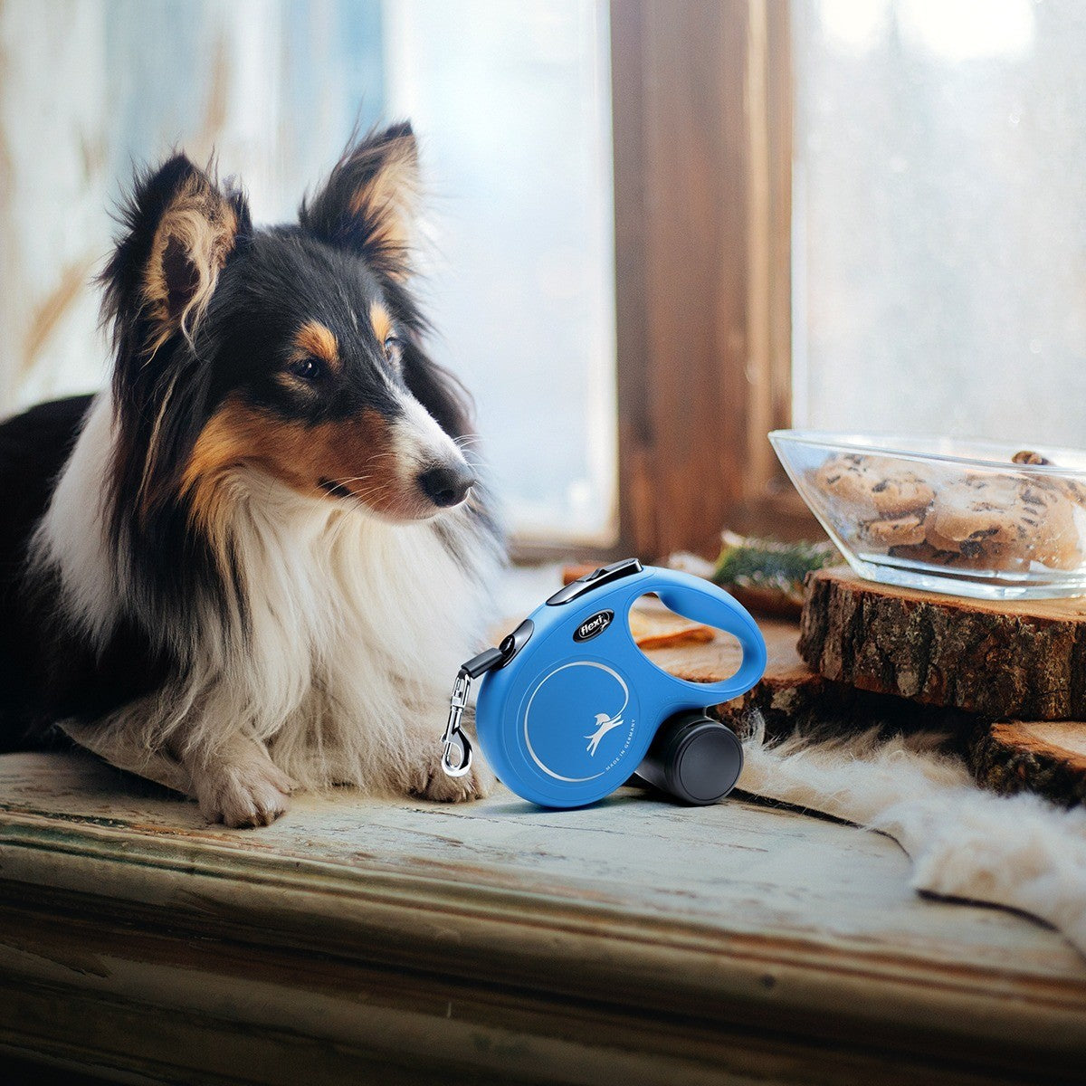 Flexi Classic CORD Retractable Leash 8m