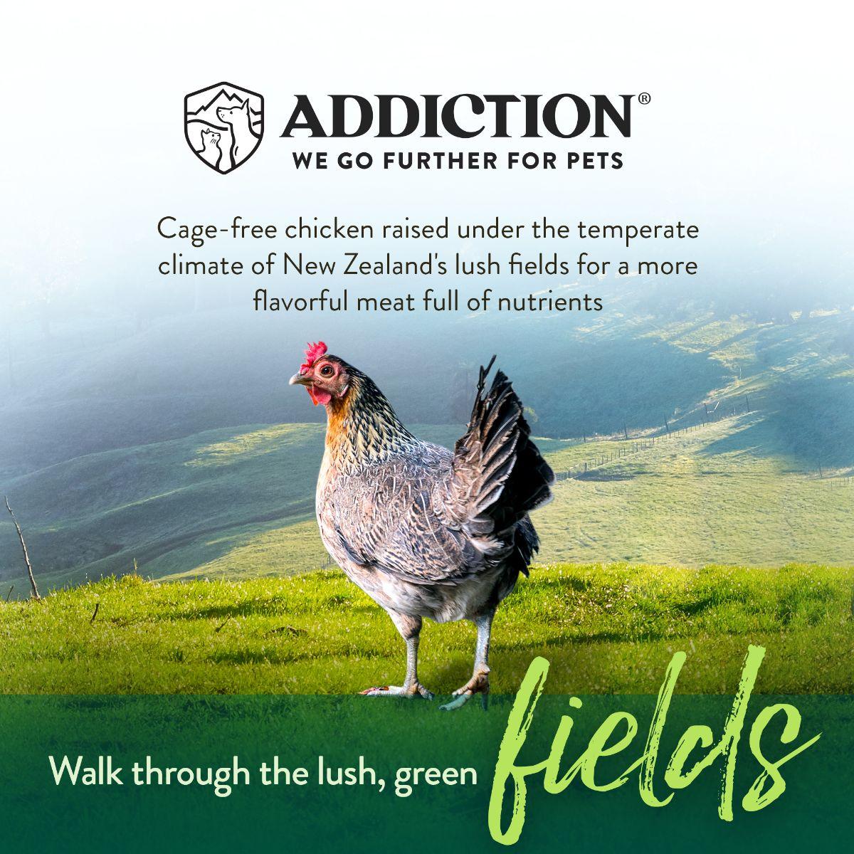 Addiction Chicken Meaty Bites Dog Treats