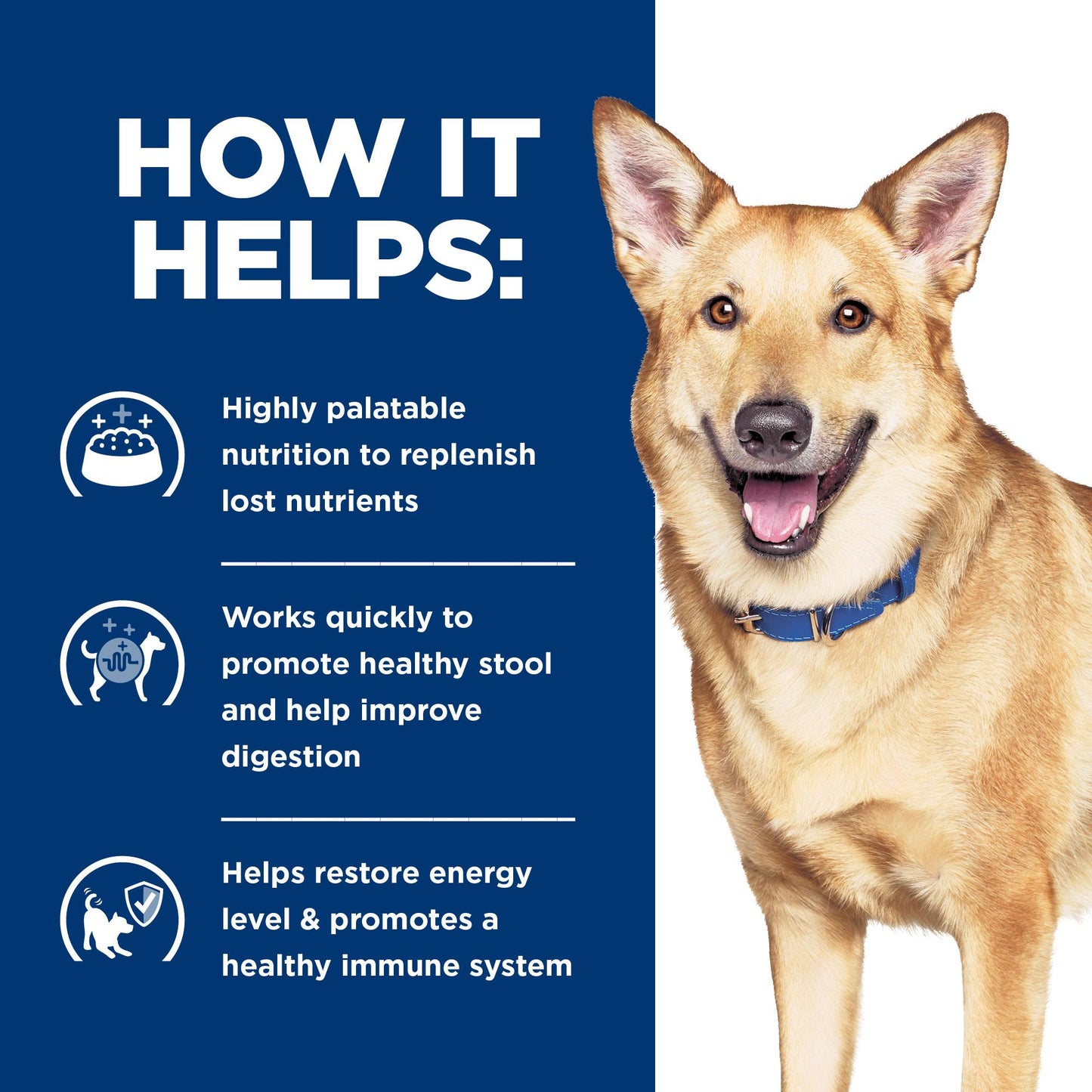 Hill's Prescription Diet i/d Digestive Care Chicken Dry Dog Food