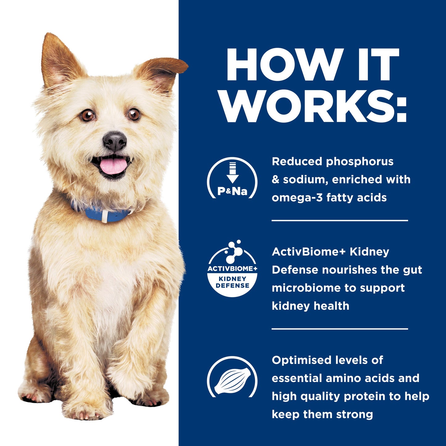 Hill's Prescription Diet k/d Kidney Care Chicken Dry Dog Food