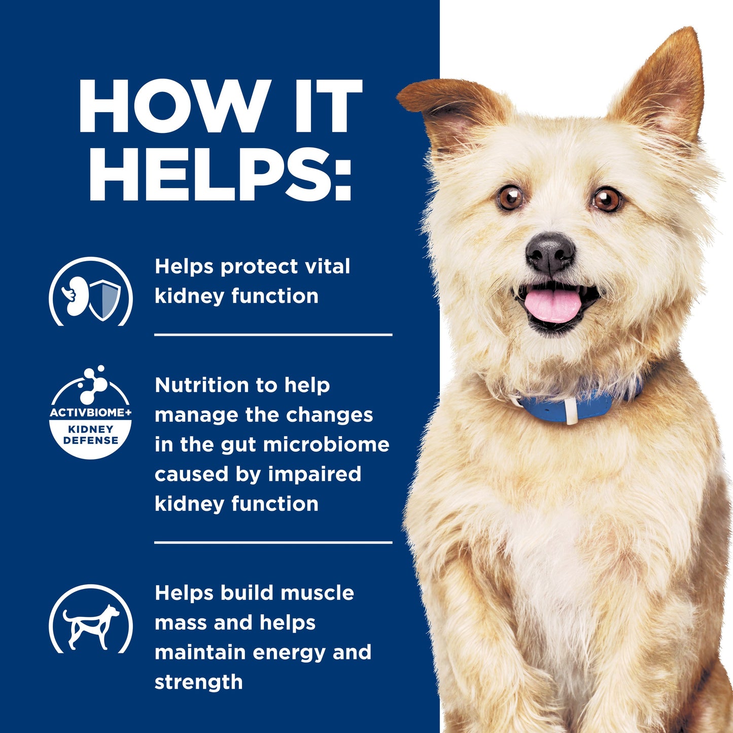 Hill's Prescription Diet k/d Kidney Care Chicken Dry Dog Food