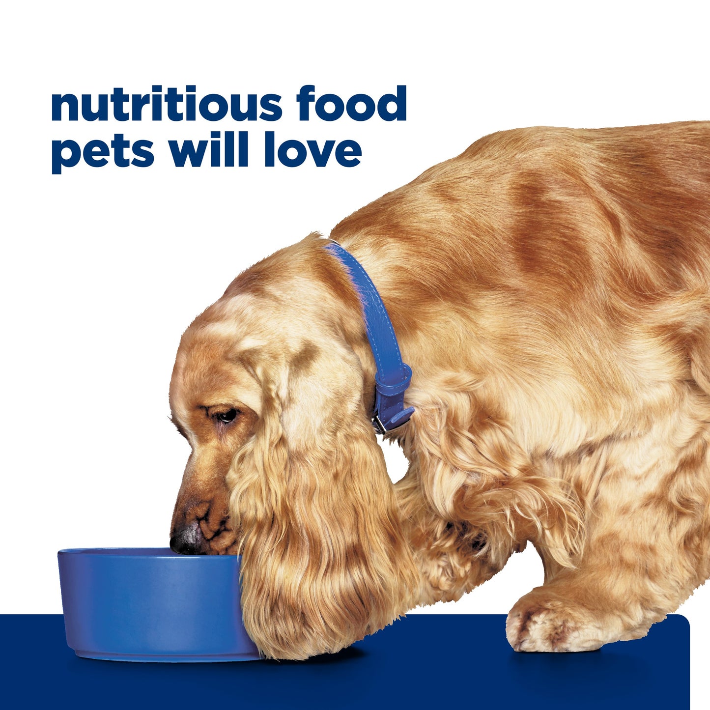 Hill's Prescription Diet z/d Skin/Food Sensitivities Dry Dog Food