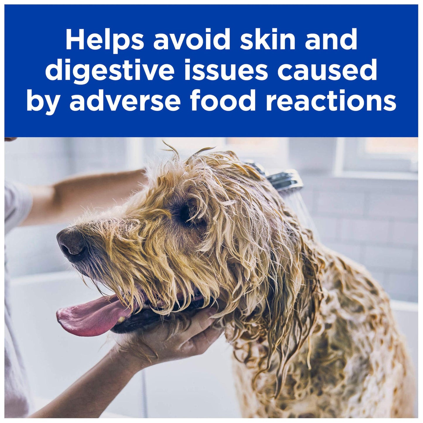 Hill's Prescription Diet z/d Skin & Food Sensitivities Wet Dog Food