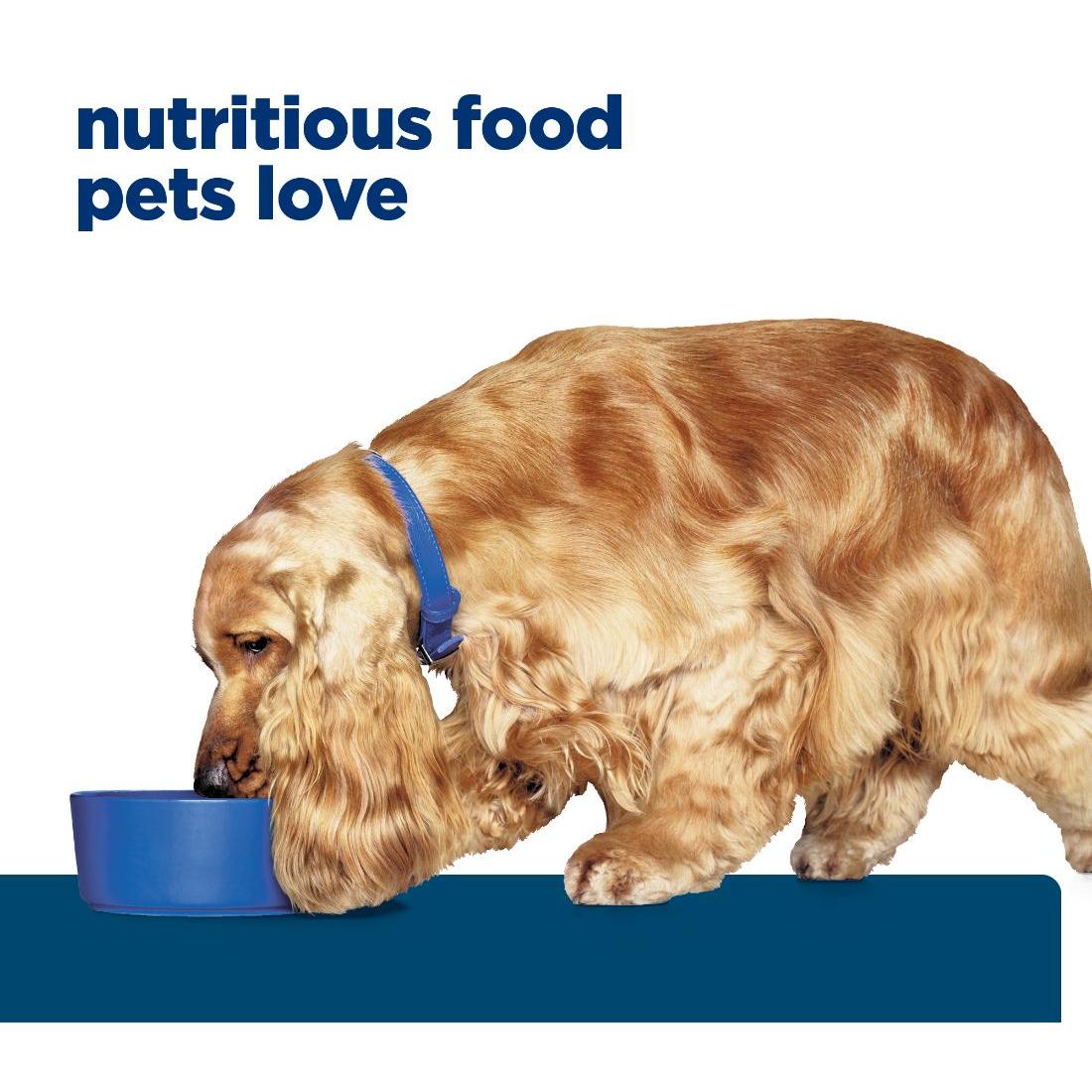 Hill's Prescription Diet z/d Skin & Food Sensitivities Wet Dog Food