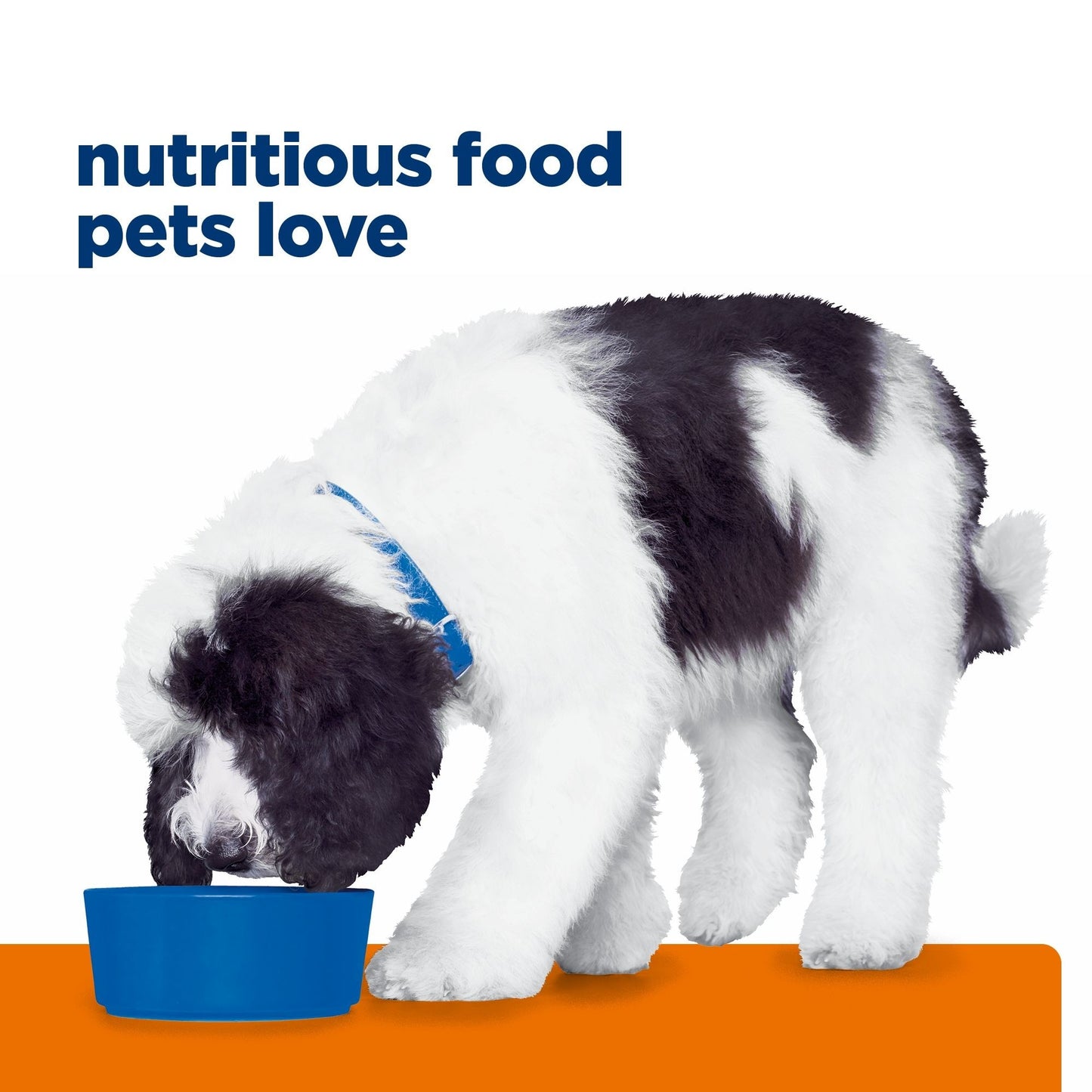 Hill's Prescription Diet c/d Multicare Urinary Care Chicken Dry Dog Food