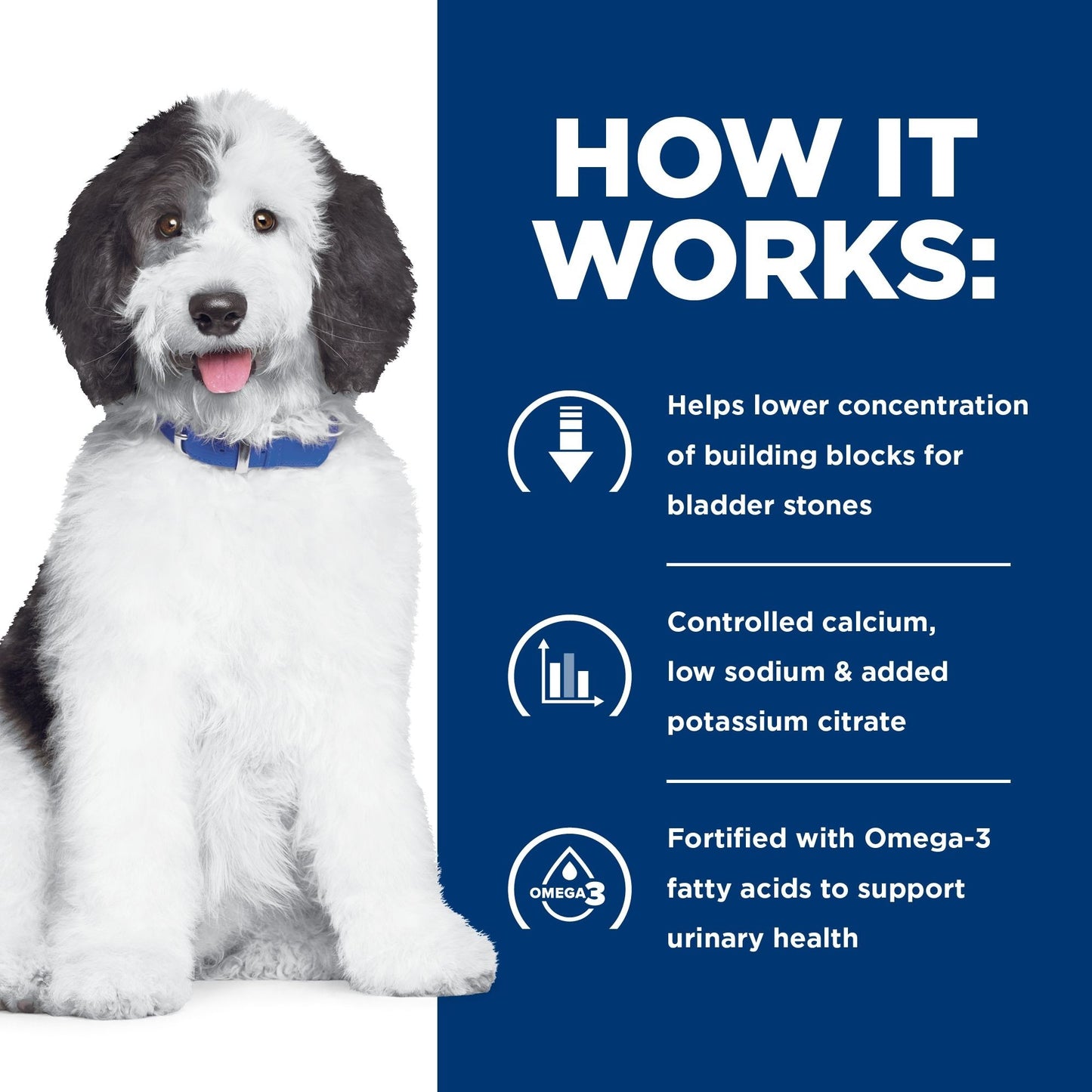 Hill's Prescription Diet c/d Multicare Urinary Care Chicken Dry Dog Food
