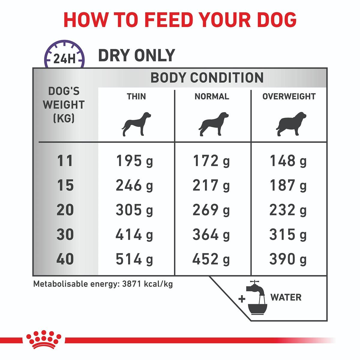 Royal Canin Vet Canine Dental Dry Dog Food