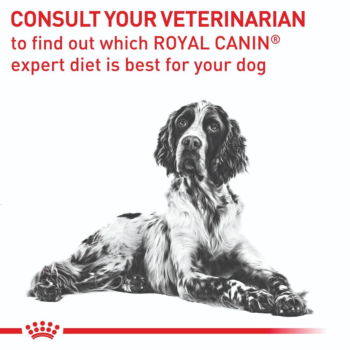 Royal Canin Vet Canine Dental Dry Dog Food