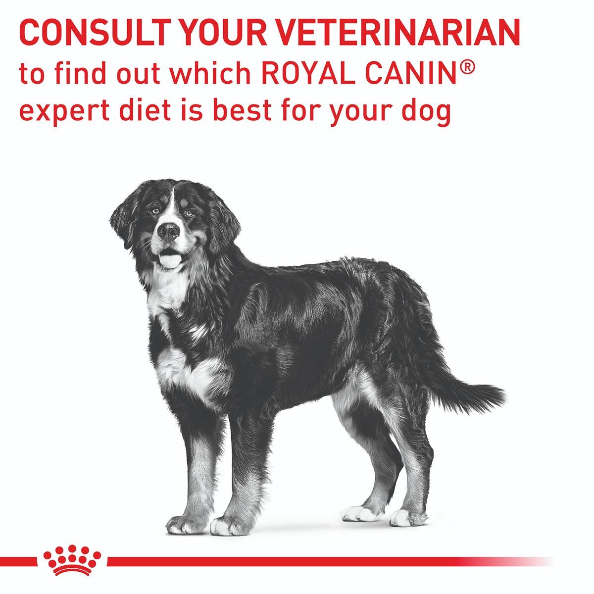 Royal Canin Veterinary Diet Neutered Adult Large Dry Dog Food