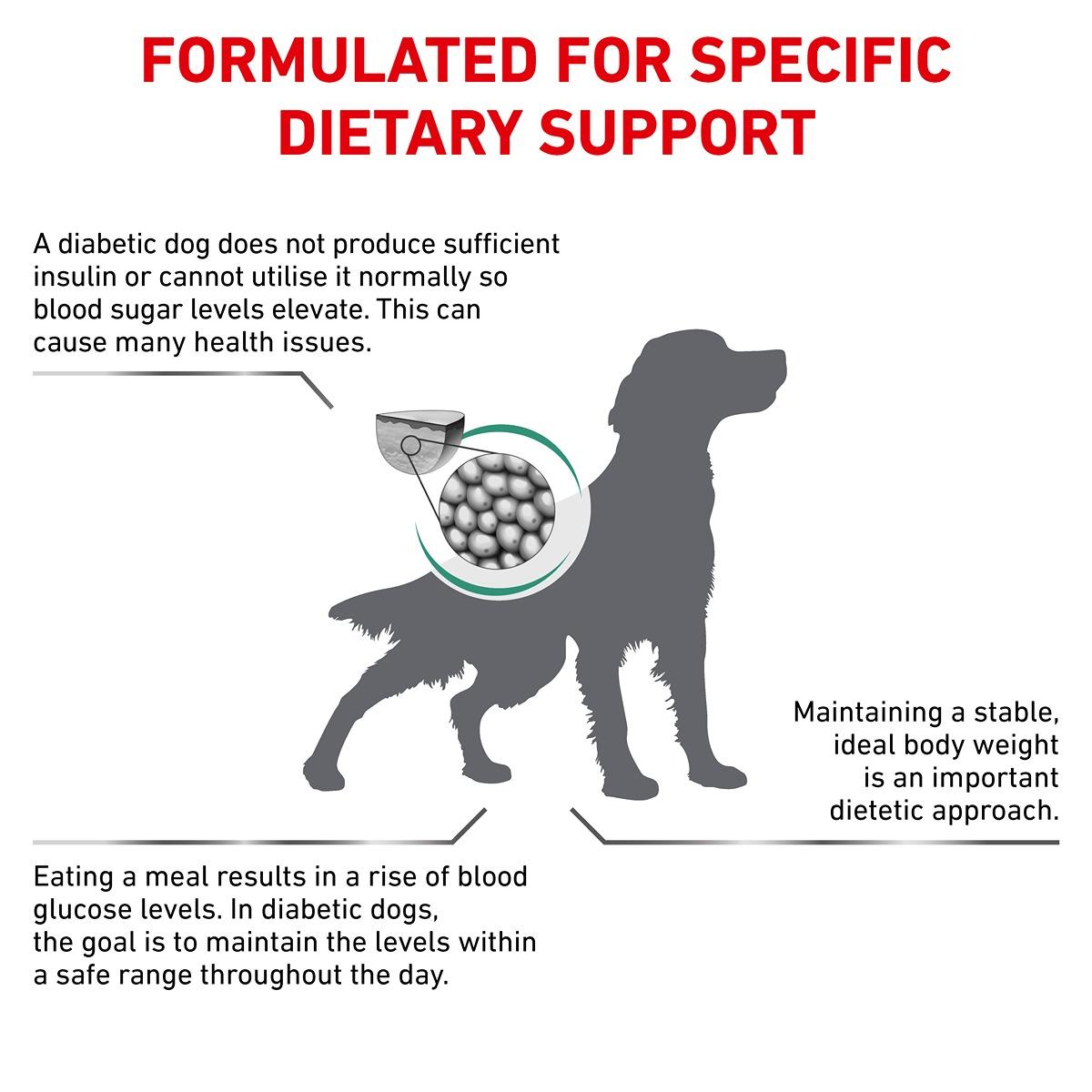 Royal Canin Vet Diabetic Dry Dog Food