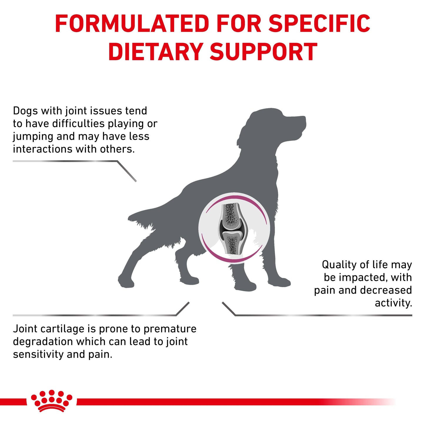 Royal Canin Vet Mobility C2P+ Dry Dog Food