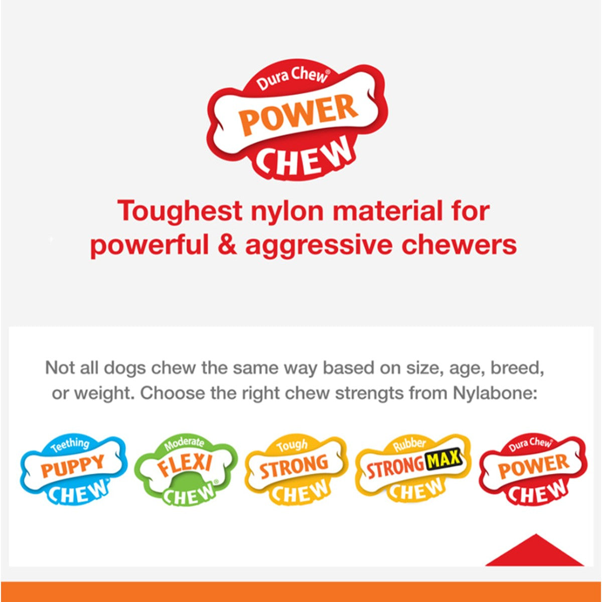 Nylabone Dura Chew Barbell Dog Toy