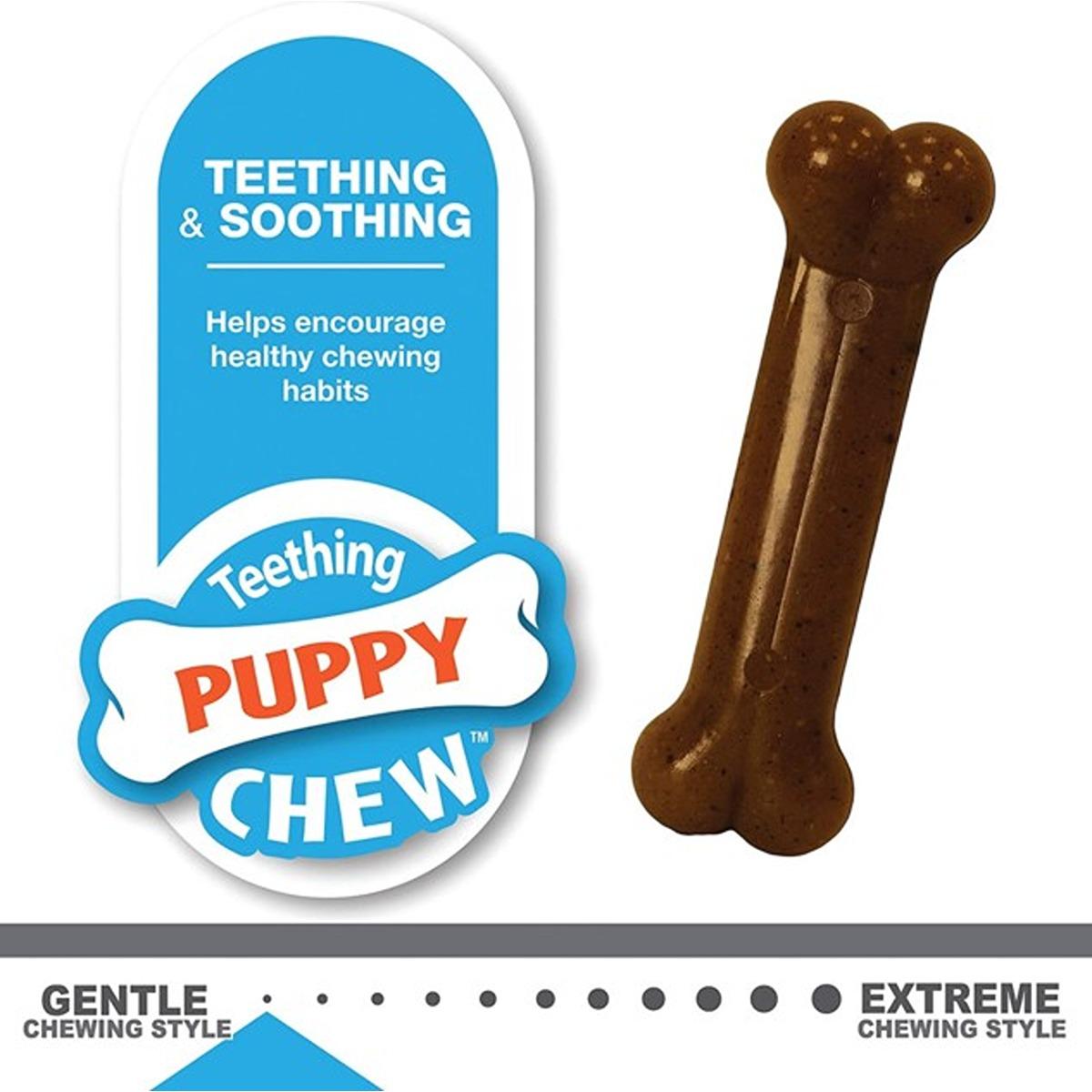 Nylabone Puppy Twin Pack Petite